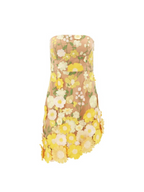 Vestido Corto Sin Mangas Alirio con Bordado Floral